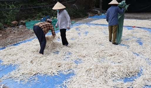 Tân Triều (Hà Nội): Đa làng nghề, nhiều phát thải